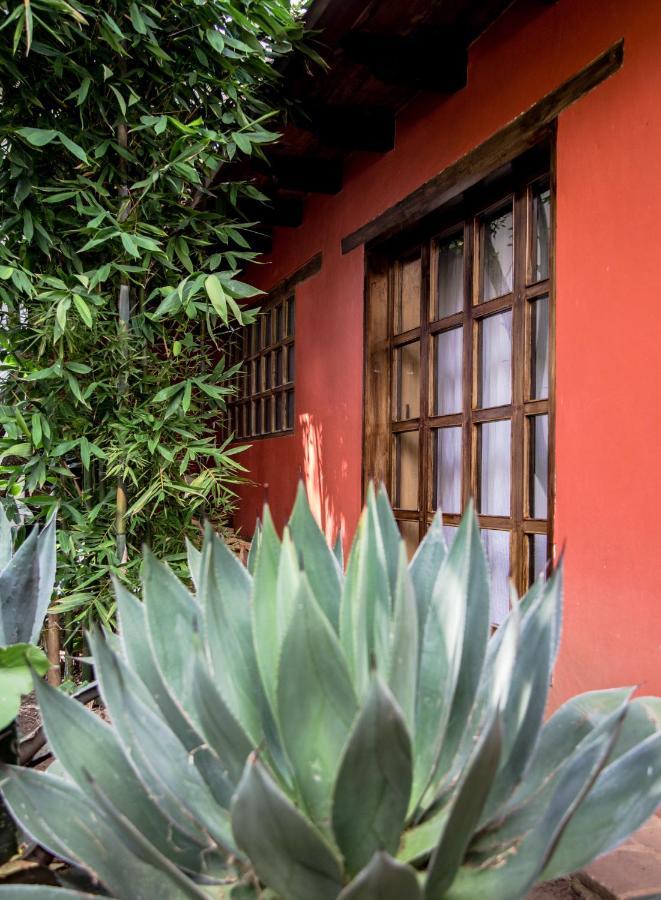 Guayaba Inn Boutique Hotel San Cristóbal de Las Casas Εξωτερικό φωτογραφία